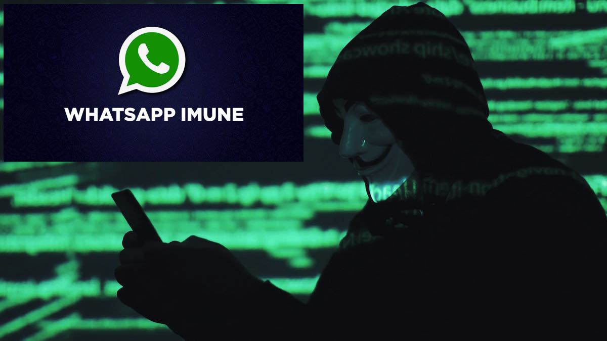 Whatsapp Imune a Travas 2024: como funciona, baixar e mais!