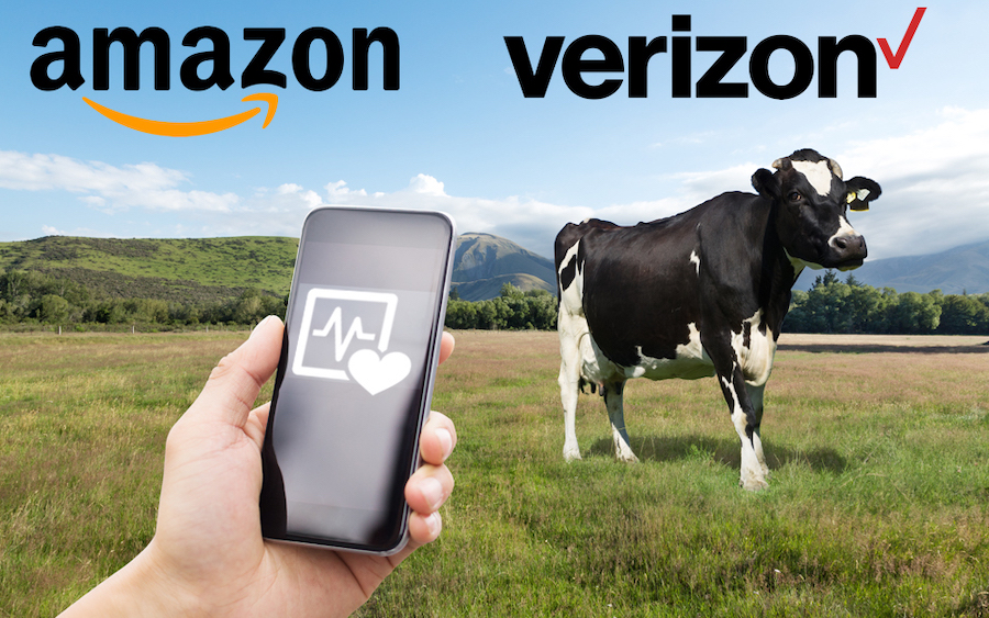 Verizon e Amazon se unem para impulsionar Internet